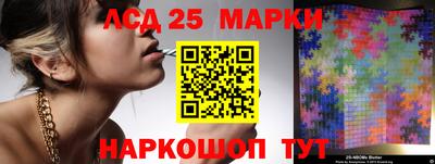 стаф Бердск